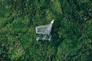 Shopping cart against background of nature